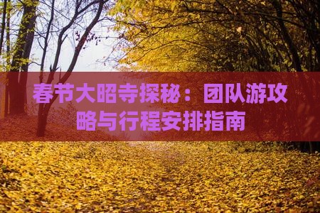 春节大昭寺探秘：团队游攻略与行程安排指南