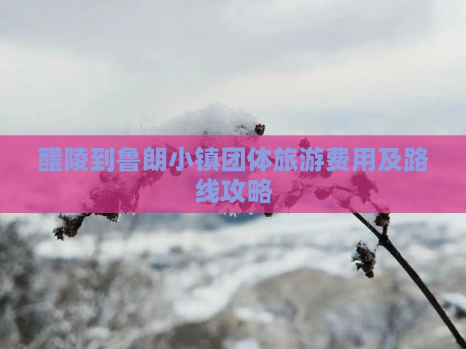醴陵到鲁朗小镇团体旅游费用及路线攻略