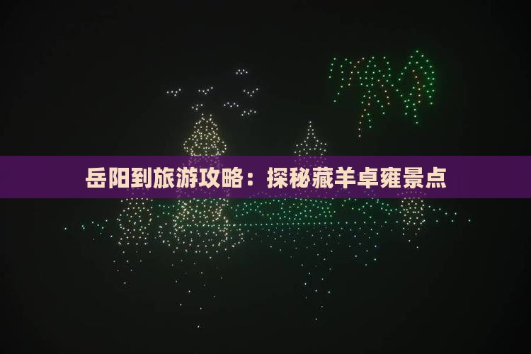 岳阳到旅游攻略：探秘藏羊卓雍景点