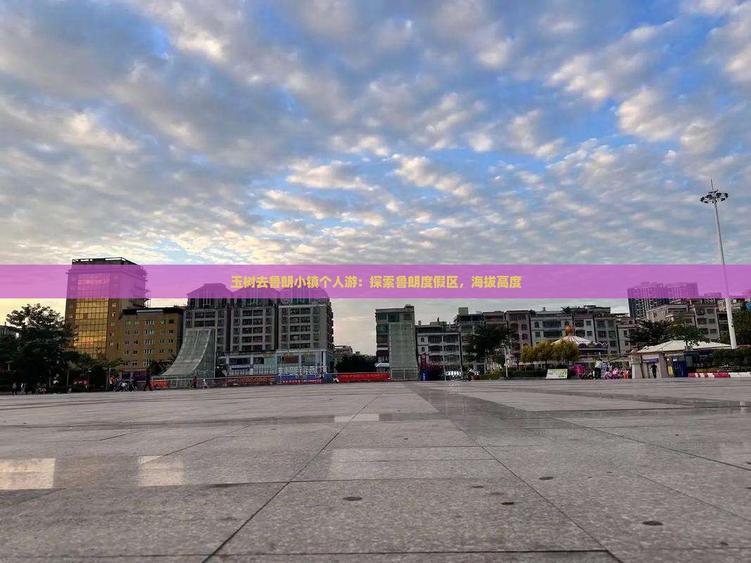 玉树去鲁朗小镇个人游：探索鲁朗度假区，海拔高度