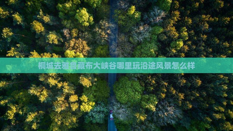 桐城去雅鲁藏布大峡谷哪里玩沿途风景怎么样
