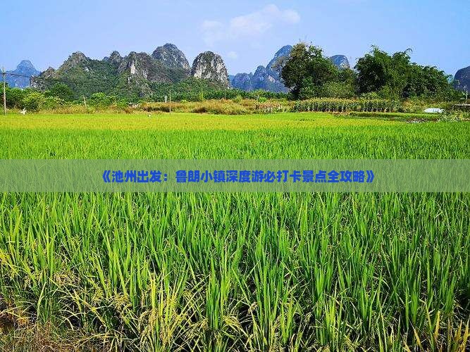 《池州出发：鲁朗小镇深度游必打卡景点全攻略》