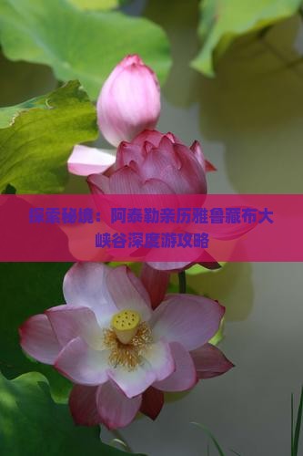 探索秘境：阿泰勒亲历雅鲁藏布大峡谷深度游攻略