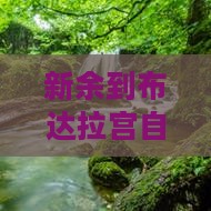 新余到布达拉宫自由行路线及费用查询