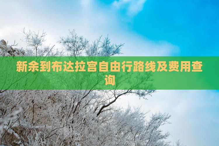新余到布达拉宫自由行路线及费用查询