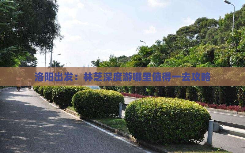 洛阳出发：林芝深度游哪里值得一去攻略