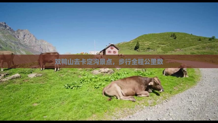 双鸭山去卡定沟景点，步行全程公里数