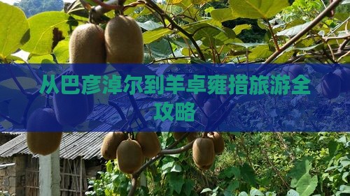 从巴彦淖尔到羊卓雍措旅游全攻略