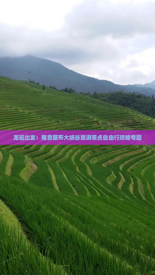龙岩出发：雅鲁藏布大峡谷旅游景点自由行攻略专题