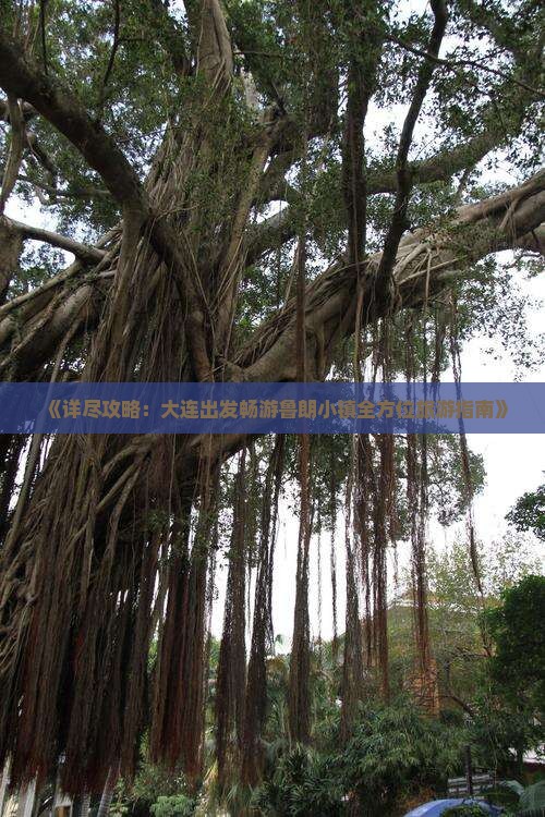 《详尽攻略：大连出发畅游鲁朗小镇全方位旅游指南》