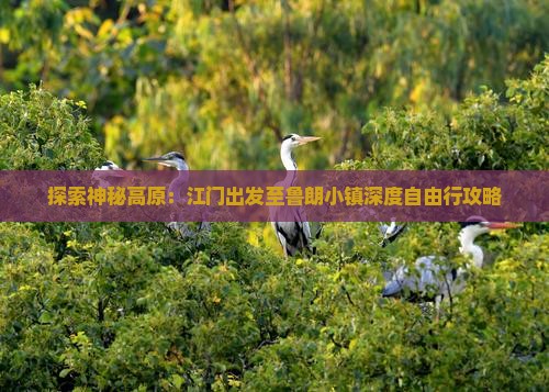 探索神秘高原：江门出发至鲁朗小镇深度自由行攻略