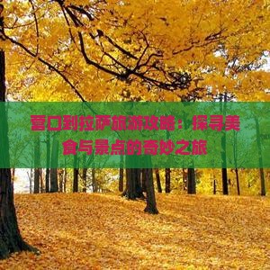 营口到拉萨旅游攻略：探寻美食与景点的奇妙之旅