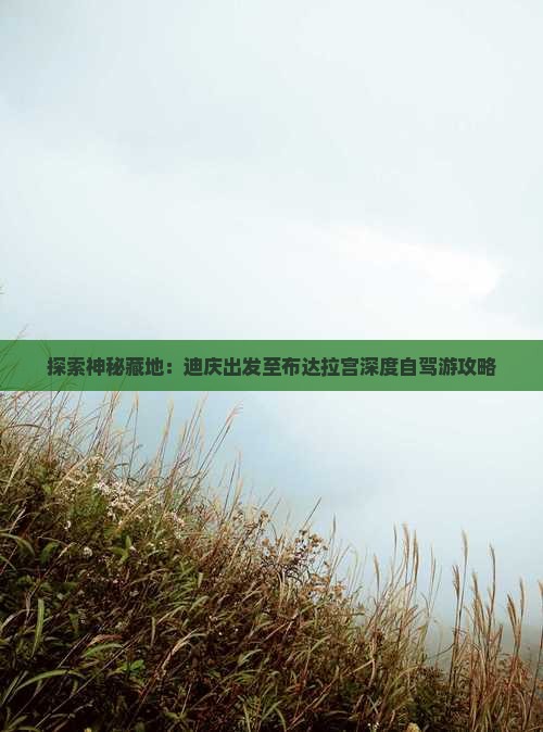 探索神秘藏地:迪庆出发至布达拉宫深度自驾游攻略 探索神秘藏地:迪庆出发至布达拉宫深度自驾游攻略