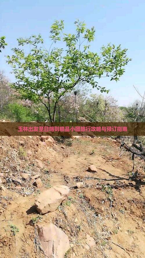 玉林出发至日喀则精品小团旅行攻略与预订指南