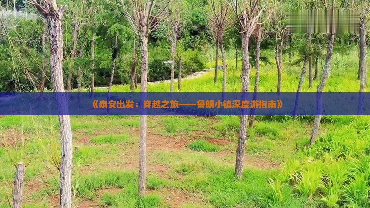 《泰安出发：穿越之旅——鲁朗小镇深度游指南》