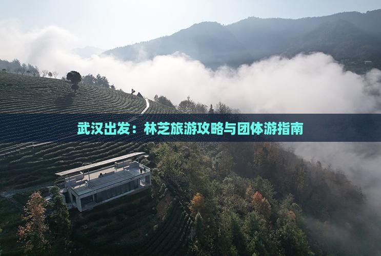 武汉出发：林芝旅游攻略与团体游指南