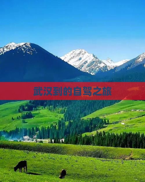 武汉到的自驾之旅
