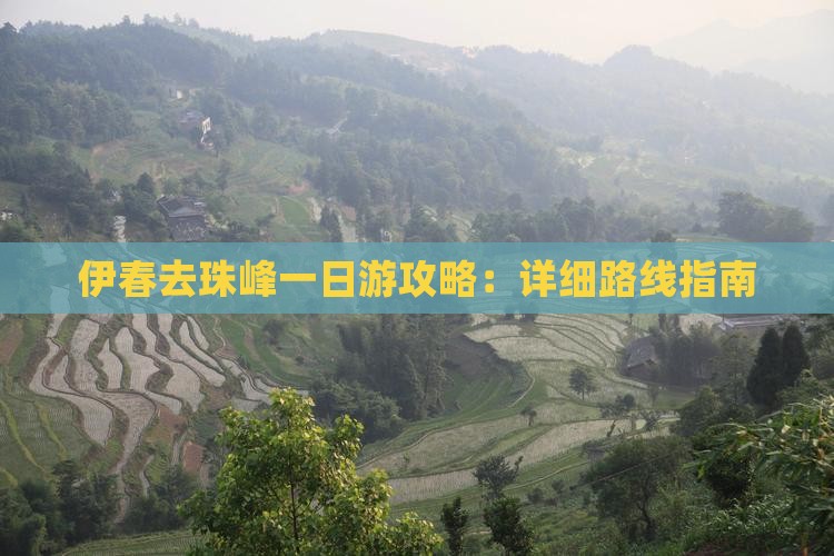伊春去珠峰一日游攻略：详细路线指南