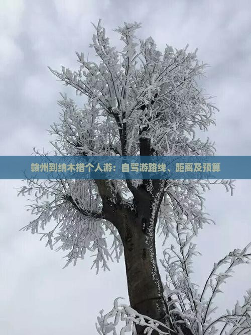 赣州到纳木措个人游：自驾游路线、距离及预算