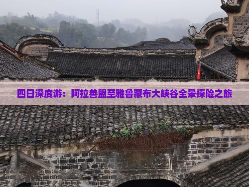 四日深度游：阿拉善盟至雅鲁藏布大峡谷全景探险之旅