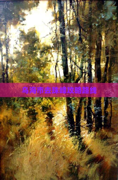 乌海市去珠峰攻略路线