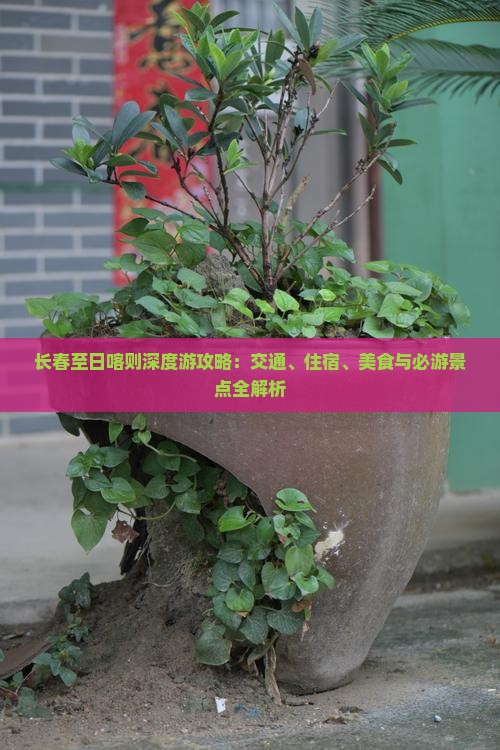 长春至日喀则深度游攻略：交通、住宿、美食与必游景点全解析