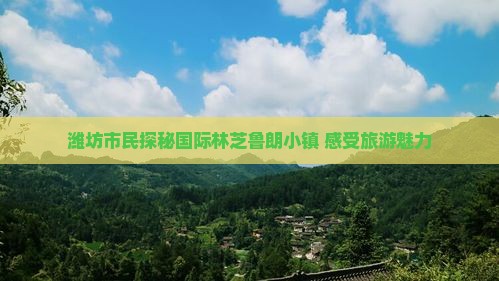 潍坊市民探秘国际林芝鲁朗小镇 感受旅游魅力
