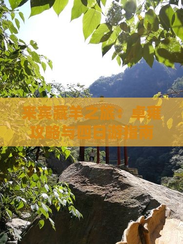 来宾藏羊之旅：卓雍攻略与四日游指南