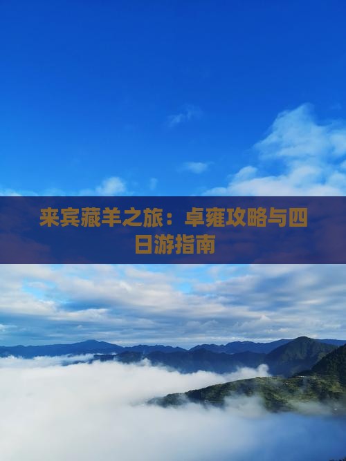 来宾藏羊之旅：卓雍攻略与四日游指南