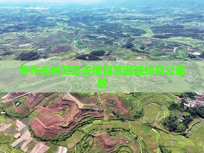 焦作去林芝必去地自驾游路线及公里数