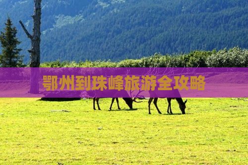 鄂州到珠峰旅游全攻略