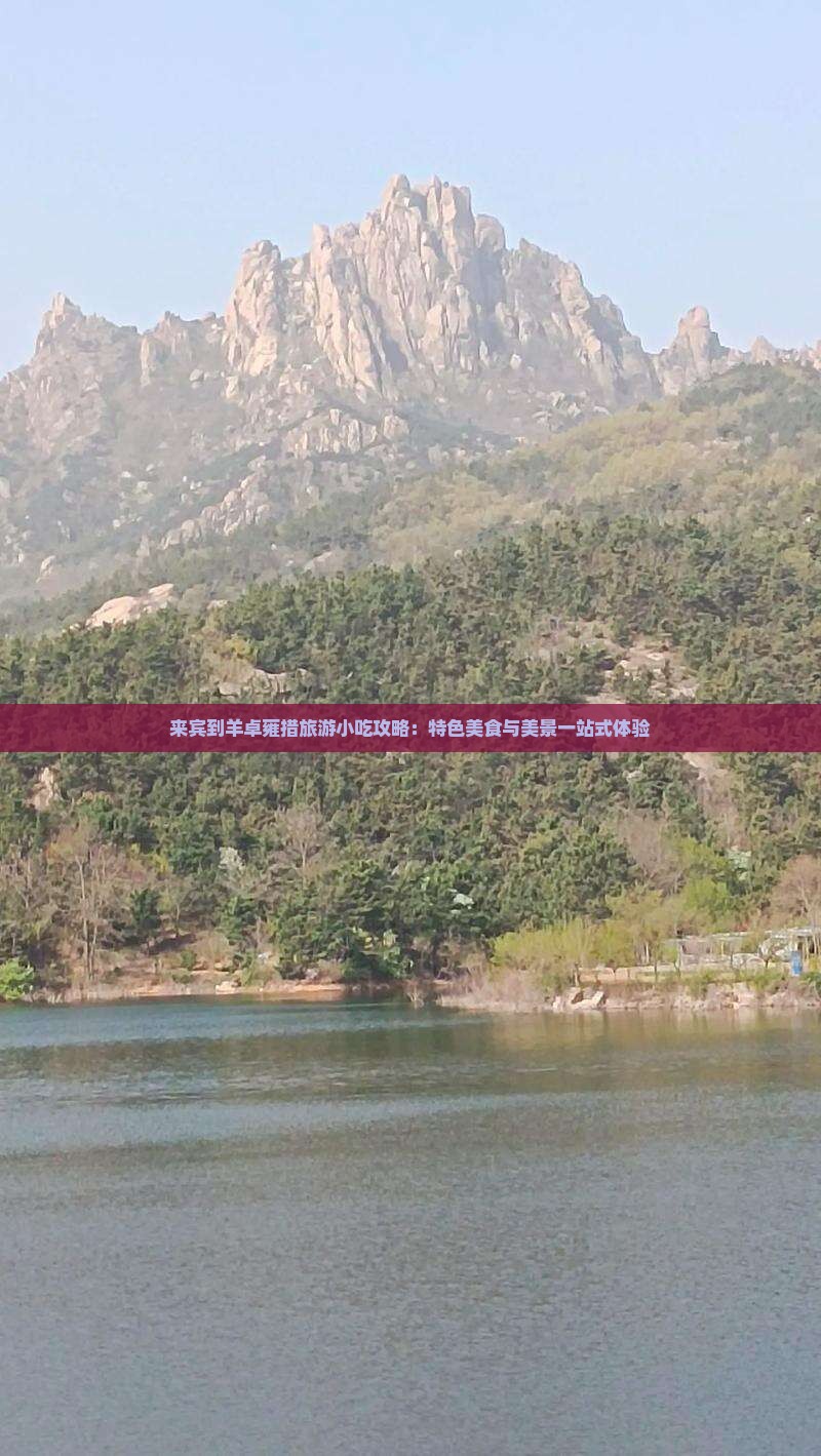 来宾到羊卓雍措旅游小吃攻略：特色美食与美景一站式体验