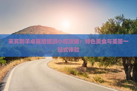 来宾到羊卓雍措旅游小吃攻略：特色美食与美景一站式体验