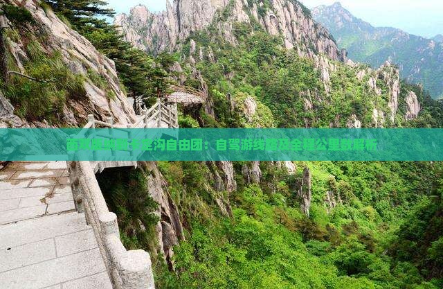 西双版纳到卡定沟自由团：自驾游线路及全程公里数解析