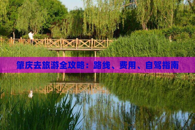 肇庆去旅游全攻略：路线、费用、自驾指南