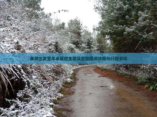 孝感出发至羊卓雍措全景深度跟团游攻略与行程安排