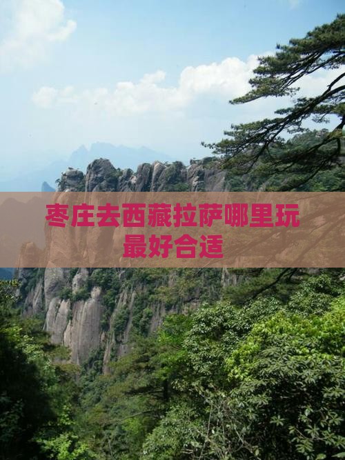 枣庄去西藏拉萨哪里玩