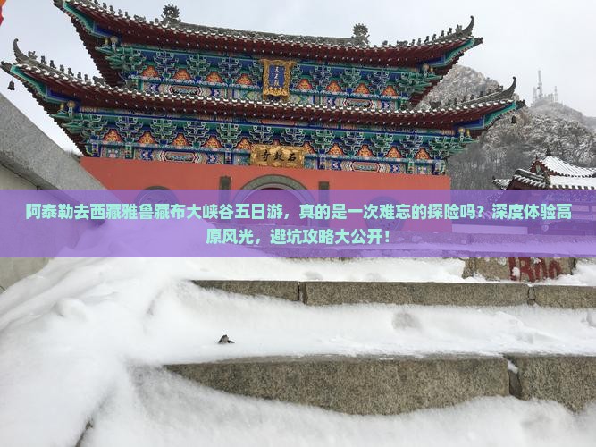 阿泰勒去西藏雅鲁藏布大峡谷五日游