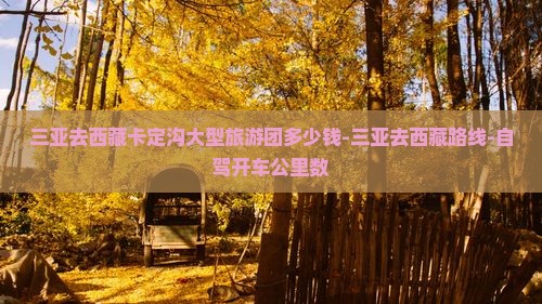 三亚去西藏卡定沟大型旅游团