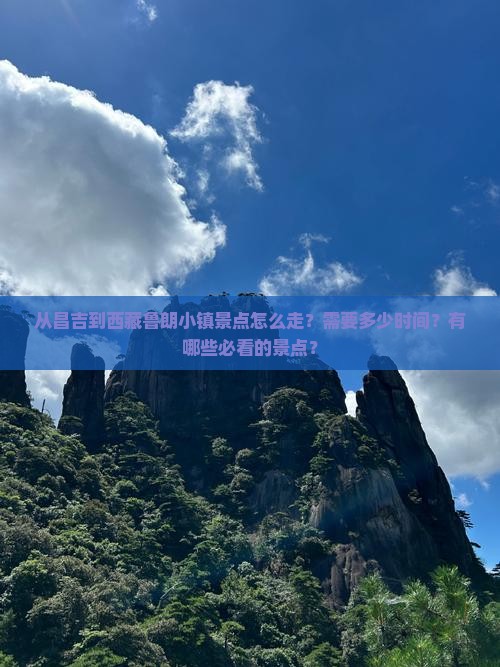 昌吉到西藏鲁朗小镇景点
