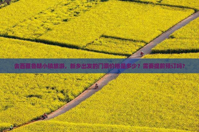 新乡去西藏鲁朗小镇门票