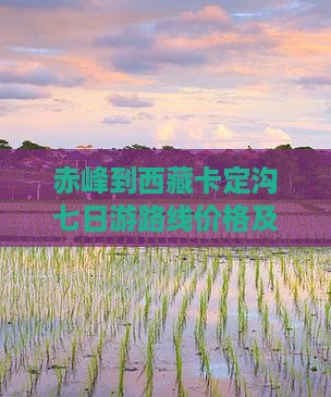 赤峰到西藏卡定沟七日游