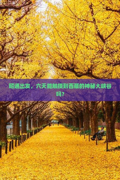 昭通到西藏雅鲁藏布大峡谷六日游