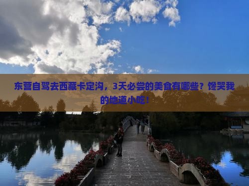 东营去西藏卡定沟旅游小吃