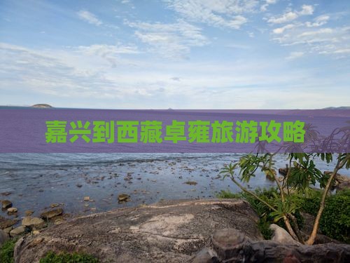 嘉兴到西藏羊卓雍措景点