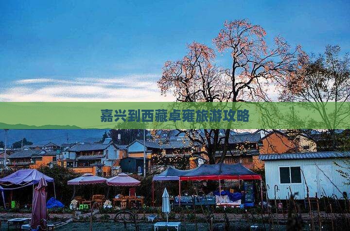 嘉兴到西藏羊卓雍措景点