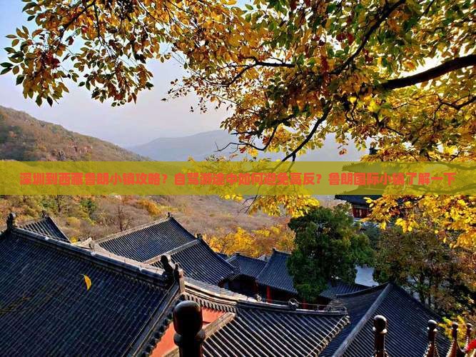 深圳到西藏鲁朗小镇攻略