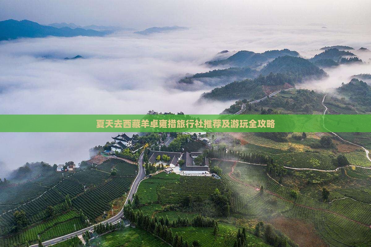 夏天去西藏羊卓雍措旅行社