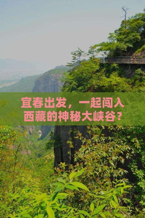 宜春到西藏雅鲁藏布大峡谷团体旅游