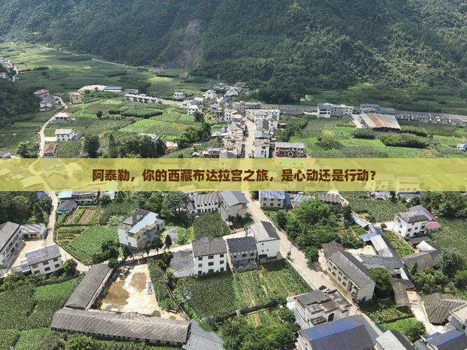 阿泰勒到西藏布达拉宫旅行社